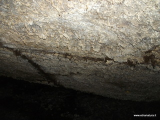 otta Petralia-17-03-2013 10-04-51